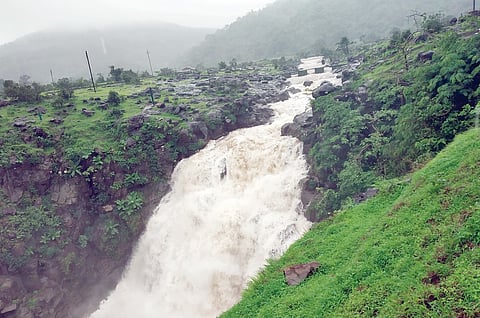 भीमाशंकर परिसराने नेसला हिरवा शालू
