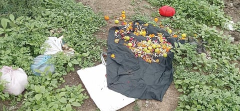 अघोरी कृत्य करणार्या भोंदूबाबाची ग्रामीण भागात दहशत