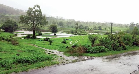 भोर येथे पावसाची संततधार ; ओढे, नाले, नद्यांना पुराचे स्वरूप