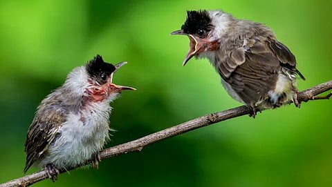 संग्रहित छायाचित्र.