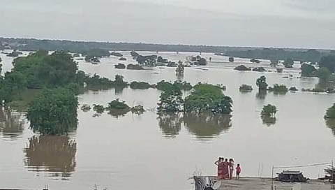 वर्धा आणि पैनगंगा नद्यांना पूर