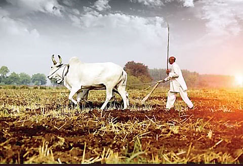 ‘शेतकर्यांच्या व्यथा’चा 33 लाखांचा शो ! चित्रपट दाखविणे प्रत्येक ग्रामपंचायतीला बंधनकारक