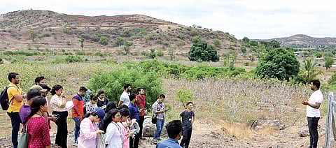 खोरची अंजीर शेती ठरतेय विद्यार्थ्यांसाठी मार्गदर्शन केंद्र