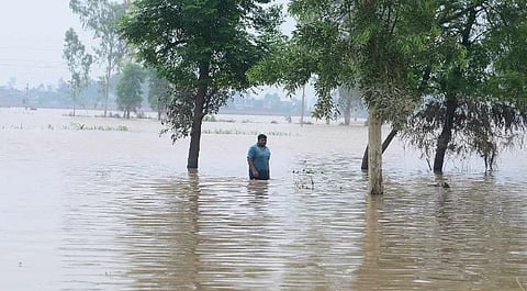 पंजाब, हरियाणात पुरामुळे आतापर्यंत ५७ मृत्युमुखी, ५१८ गावे बाधित, पुन्हा अतिवृष्टीचा इशारा