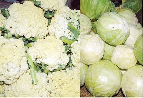 काकडी, फ्लॉवर स्वस्त; लसूण, कोबी महाग