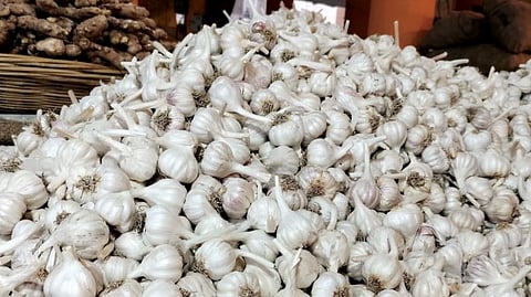 Garlic Rate
