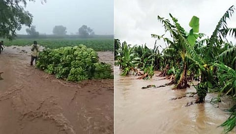 डोंगरकडा परिसरात अतिवृष्टी