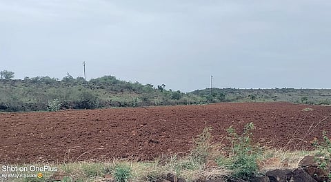 लोणी धामणी : पावसाअभावी खरीप हंगाम धोक्यात!