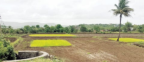 वेल्ह्यासह पश्चिम हवेलीत कडकडीत उन्हाळा; भात रोपांच्या लागवडी ठप्प