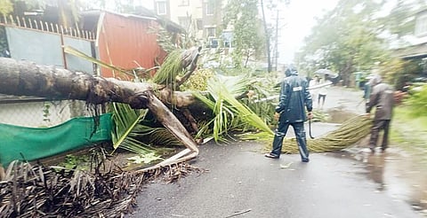 लोणावळ्याला मुसळधार पावसाने झोडपले ; 24 तासांत तब्बल 212 मिमी पावसाची नोंद
