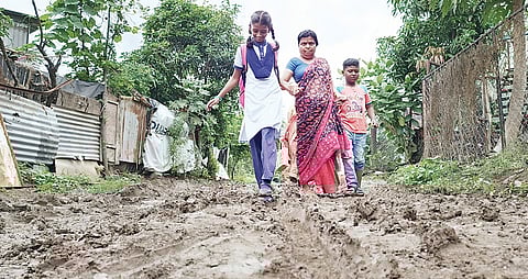 अहमदनगर जिल्ह्यात सर्वदूर पाऊस; बळीराजा आनंदला