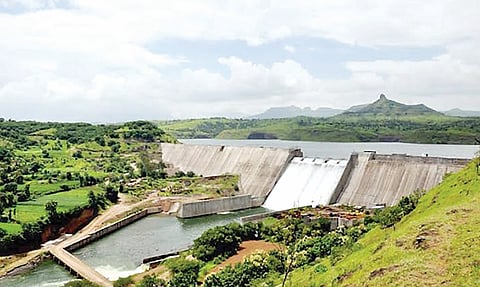 निळवंडे कालव्यामुळे बळीराजाच्या आशा पल्लवीत!