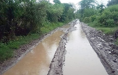 ही वहिवाट लई बिकट ! ढोरजळगाव ते तेलकुडगाव रस्त्याची दुरवस्था