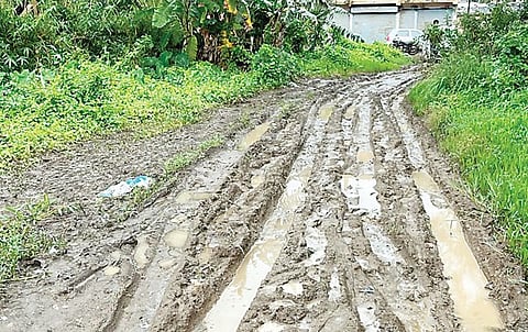 कामशेत : अंगणवाडीची वाट चिखलातून