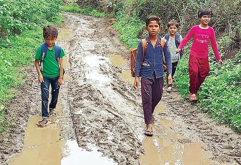 अहमदनगर : चापेवाडी-शेटेवस्ती रस्त्याची दुरवस्था