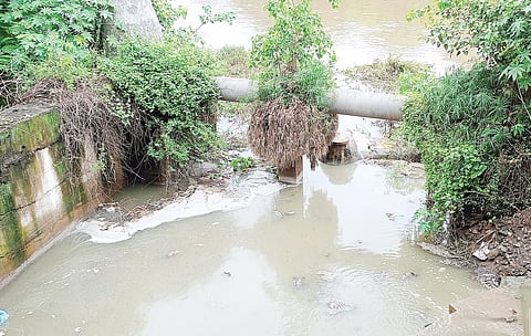 नवी सांगवी : मैलामिश्रित पाणी थेट पवना पात्रात; महापालिकेचे दुर्लक्ष