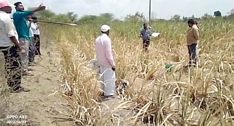 संगमनेर : गायरान जमीन मोजणीस शेतकर्यांचा कडाडून विरोध!