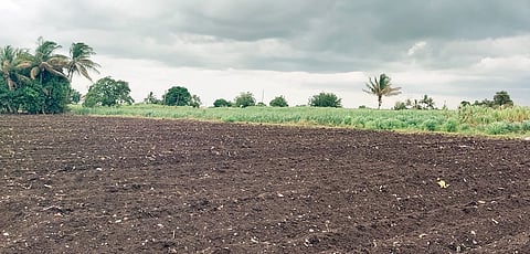 सांगवी : उसाच्या लागवडी खोळंबल्या; शेतकर्यांचे डोळे आकाशाकडे