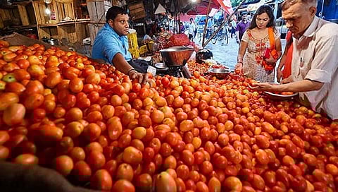Tomato Prices | टोमॅटोची लाली उतरली; दर प्रतिकिलो २०० रुपयांवरून थेट १४ रुपयांवर