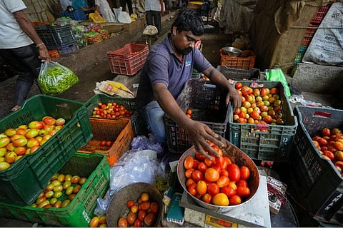 Tomato Price : टोमॅटो दर नियंत्रणासाठी केंद्राने घेतला माेठा निर्णय, आता…