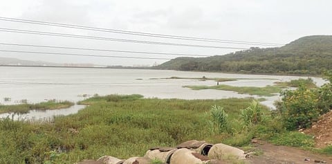 चिंता वाढवणारी बातमी ! गेल्या वर्षाच्या तुलनेमध्ये पाणीसाठा निम्म्याने कमी