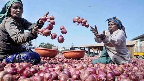 Onion Export : शेतकऱ्यांना मोठा दिलासा: सहा देशांमध्ये ९९,१५० मेट्रिक टन कांदा निर्यातीस केंद्राची परवानगी