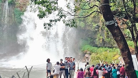 पर्यटकांना खुणावतेय ठोसेघरचे सौंदर्य