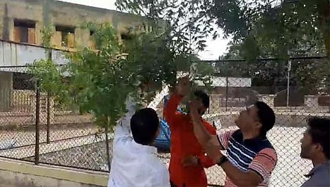 नाशिक: येवला येथे तरुणीचा फोटो लावून अघोरी विद्येचा प्रयत्न