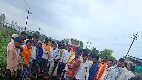 छत्रपती संभाजीनगर: सिल्लोड-भराडी रस्त्यावर भरधाव ट्रकने १७ मेंढ्या चिरडल्या