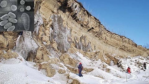 सैबेरियातील बर्फातून बाहेर येत आहेत प्राचीन जीवाणू-विषाणू