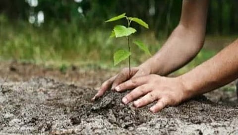 गावे बहरणार, हिरवाईने नटणार