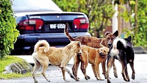 संतुलित द़ृष्टिकोनाची गरज