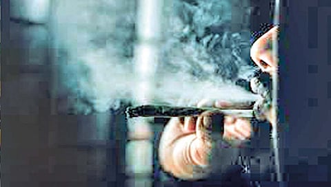 निपाणी शहर बनतेय गांजा तस्करीचे केंद्र