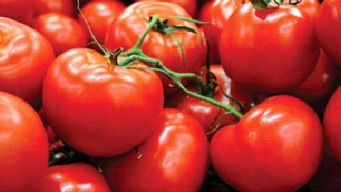 Tomato Price Hike