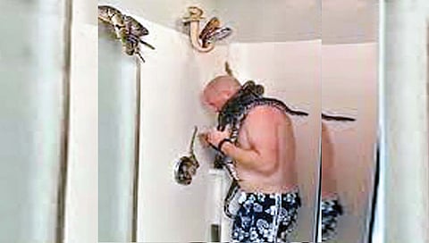 तो स्नानही करतो विषारी सापांसोबत