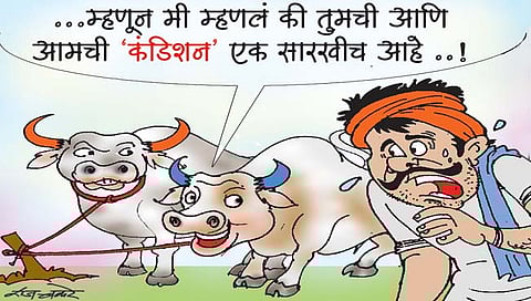 लवंगी मिरची : फाटाफूट..!