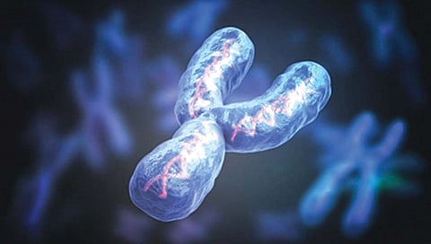 मानवातील ‘वाय’ गुणसूत्राचे प्रथमच पूर्ण ‘सिक्वेन्सिंग’