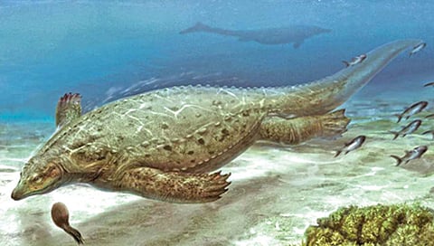 माणसाइतक्या मोठ्या सागरी सरड्याचे जीवाश्म