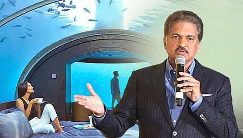 Anand Mahindra Share Video : आनंद महिंद्रांची ‘त्या’ व्हिडिओवर कमेंट, ‘मी इथे झोपू शकणार नाही’