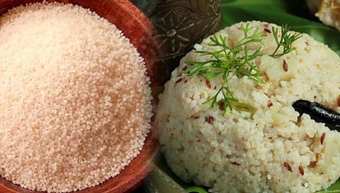 नाशिकमध्ये चार महिन्यात तब्बल 500 टन भगरीचे उत्पादन