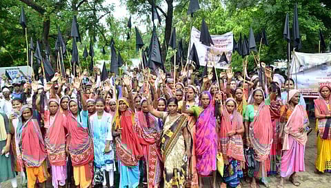 (छायाचित्र : हेमंत घोरपडे)