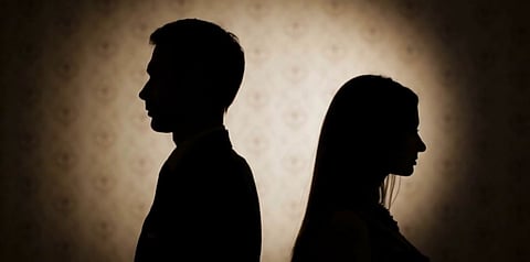 पत्नीने घरगुती कामे करावीत अशी पतीने अपेक्षा करणे क्रूरता ठरत नाही : दिल्ली उच्च न्यायालय