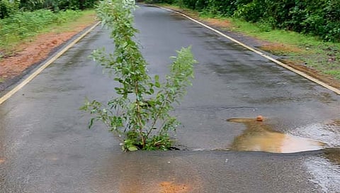 सिंधुदुर्ग: दोडामार्ग-विजघर राज्यमार्ग मुळस येथे खचला