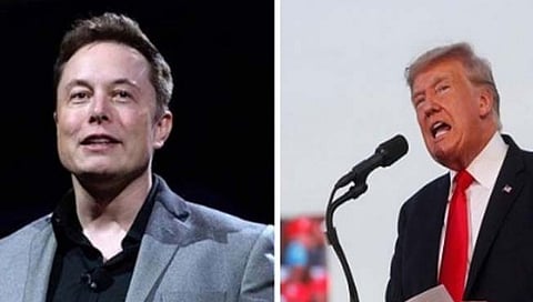 Elon Musk Politics
