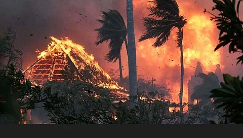 Hawaii wildfires | अमेरिकेच्या हवाई बेटावर अग्नितांडव! जंगलातील वणव्यात ५३ जणांचा मृत्यू, १ हजार बेपत्ता