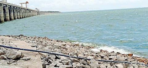 शेवगाव : फुगवटा क्षेत्रावरील पिके धोक्यात! जायकवाडी धरण तळ गाठण्याच्या मार्गावर