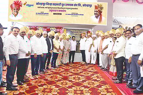 ‘गोकुळ’मध्ये परराज्यांतील दुधाचे आक्रमण थोपविण्याची धमक : हसन मुश्रीफ