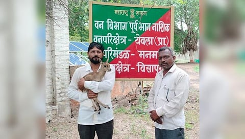 नाशिक : वडगाव पंगू गावात मोकाट कुत्र्यापासून हरणाच्या पाडसाची सुटका