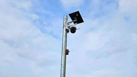 Tomato Price Hike : टोमॅटोची चोरी रोखण्यासाठी शेतात बसविला सीसीटीव्ही कॅमेरा; शेतकऱ्याचा अनोखा प्रयोग