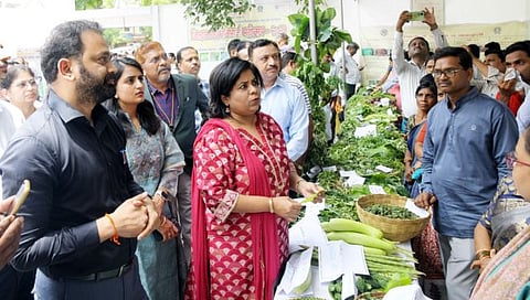 नागपुरात रानभाजी महोत्सवात दुर्मिळ मेजवानी : महिला बचत गटांचा सहभाग